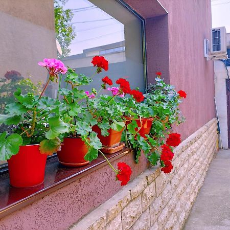 Luta Studio บูคาเรสต์ ภายนอก รูปภาพ