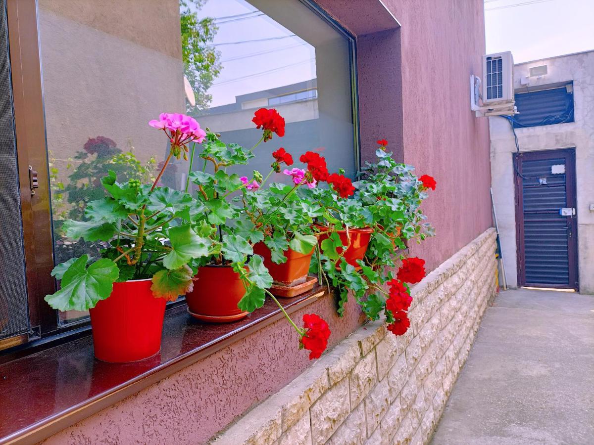 Luta Studio บูคาเรสต์ ภายนอก รูปภาพ